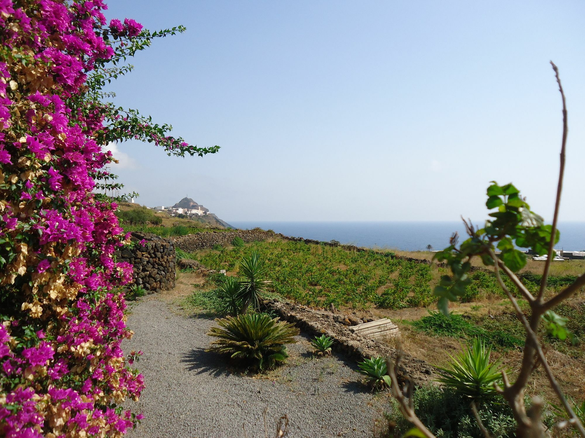 Agriturismo Zibibbodoro Scauri  Ngoại thất bức ảnh